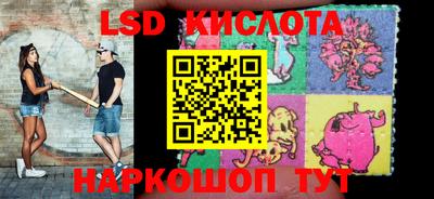 гидра Будённовск