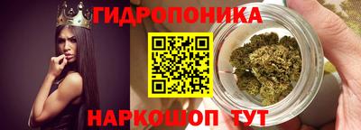 гидра Будённовск