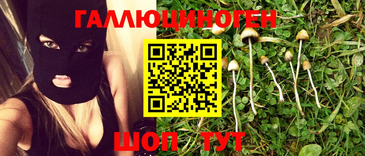 Псилоцибиновые грибы ЛСД  Галлюциногенные грибы Magic Shrooms  Ртищево  Вход с VPN 
