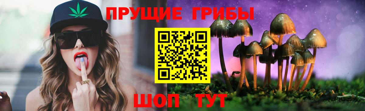 Псилоцибиновые грибы прущие грибы Ртищево